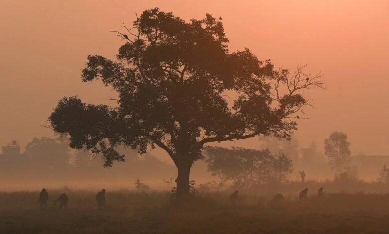 Cold wave grips North India.