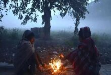 Severe cold and dense fog in Chhattisgarh.