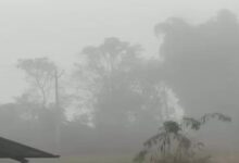 Intense cold wave grips Rajasthan and Uttar Pradesh, Hemkund records -20°C; fog and drop in temperature in several cities.
