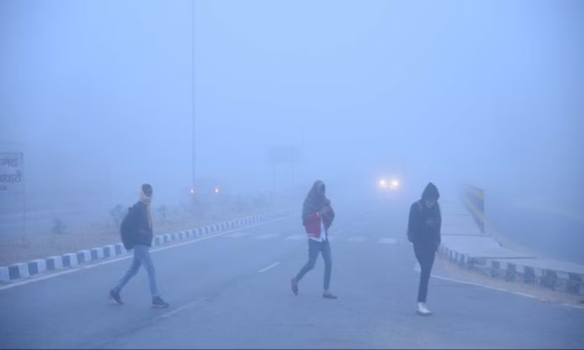Severe cold wave grips 8 states including Rajasthan and Madhya Pradesh; 15-day snowfall alert issued for Kashmir.