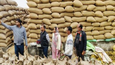 Massive paddy procurement drive: 93.12 lakh metric tons of paddy procured so far, payments worth ₹20,753 crore made.