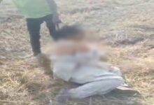 Tamnar violence… VIDEO of brutality against a female constable goes viral.