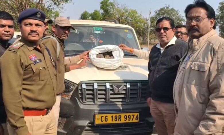 Illegal pangolin trafficking ring busted.