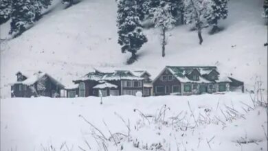 An alert has been issued for rain, dense fog, and snowfall in 15 states, including Rajasthan.