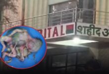 The body of a newborn baby was found in the hospital toilet, causing panic in the area.