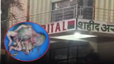 The body of a newborn baby was found in the hospital toilet, causing panic in the area.