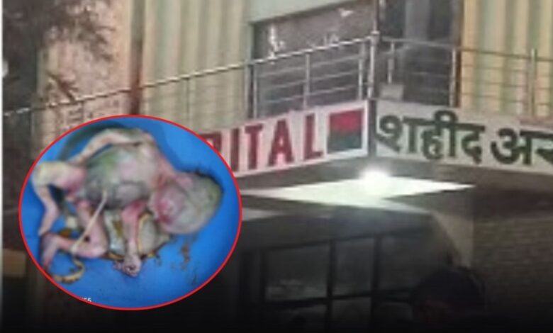 The body of a newborn baby was found in the hospital toilet, causing panic in the area.