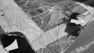 A speeding bus overturned, killing one person and injuring five.