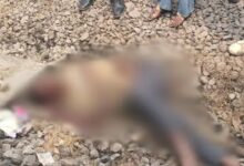 A young man was hit by a freight train in Raipur and died on the spot; the accident occurred in the Pandri police station area.