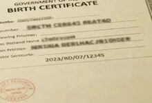 Village population 1300, but 27,000 birth and death certificates issued: CRS fraud in Maharashtra, government forms SIT.