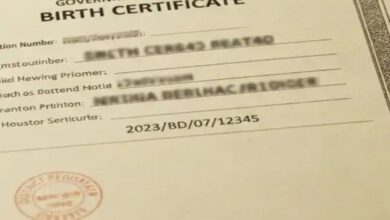 Village population 1300, but 27,000 birth and death certificates issued: CRS fraud in Maharashtra, government forms SIT.