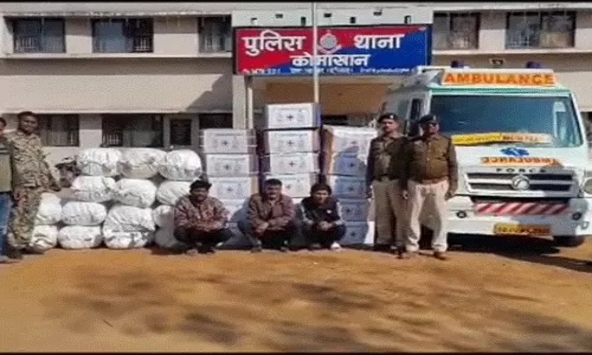 Marijuana smuggler arrested, over 2.60 crore worth of marijuana seized.