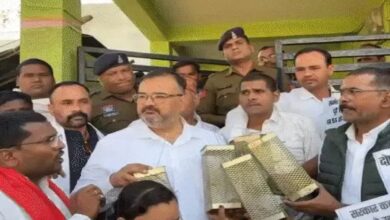 Officials said the rice worth 7 crore rupees was eaten by rats and termites.