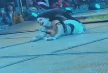 A woman danced after taking off her clothes, and the SDM showered her with money.