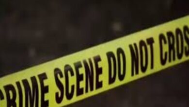 A young man from Madhya Pradesh died after falling from the 8th floor of a building.