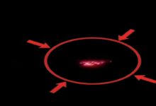 Five drones were spotted along the LoC in Samba, Rajouri, and Poonch; the army's counter-operation is underway.