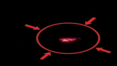 Five drones were spotted along the LoC in Samba, Rajouri, and Poonch; the army's counter-operation is underway.