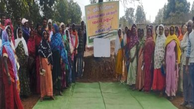 After 50 years, Rabi cultivation returns to the tribal region of Dhamtari, transforming the agricultural landscape with ragi production across 35 acres.