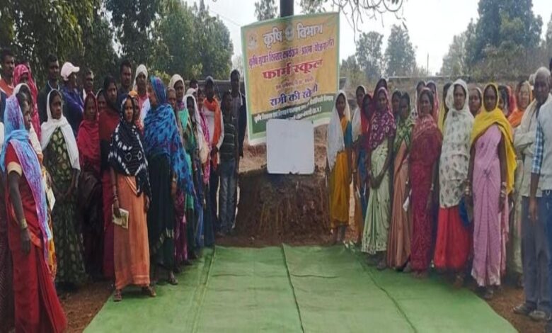 After 50 years, Rabi cultivation returns to the tribal region of Dhamtari, transforming the agricultural landscape with ragi production across 35 acres.