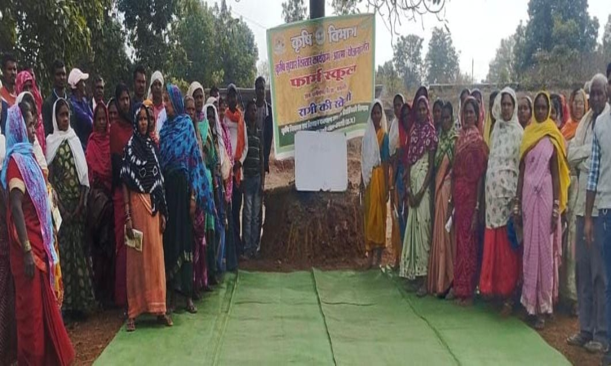 After 50 years, Rabi cultivation returns to the tribal region of Dhamtari, transforming the agricultural landscape with ragi production across 35 acres.