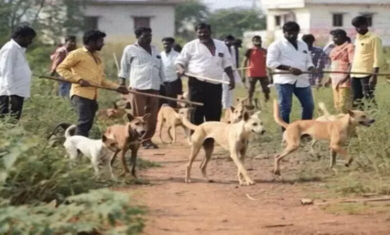 तेलंगाना के गांवों में हफ्तेभर में 500 कुत्तों की हत्या,6 लोगों के खिलाफ FIR