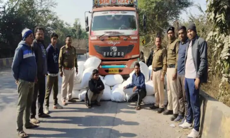 Ganja worth Rs 4.75 crore seized from a truck: Two smugglers arrested while transporting it from Odisha to Maharashtra.
