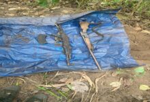 Major operation launched in Gariaband after the surrender of 9 Naxalites.