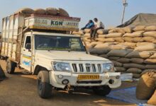 धान उपार्जन में सख़्ती: राज्यभर में अवैध परिवहन और मिलिंग पर बड़ी कार्रवाई, करोड़ों का धान जब्त