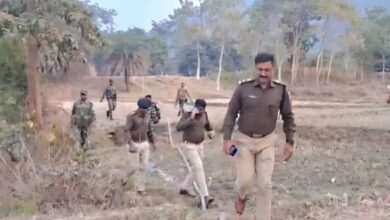 The rural SP has cracked down on opium cultivation in the forests, and a high-level meeting was held to expedite the action.