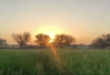 Temperatures will drop in north-central Chhattisgarh over the next 48 hours due to the influence of a Western Disturbance.