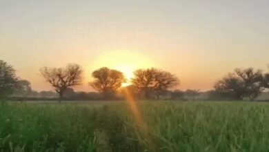 Temperatures will drop in north-central Chhattisgarh over the next 48 hours due to the influence of a Western Disturbance.
