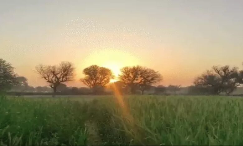 Temperatures will drop in north-central Chhattisgarh over the next 48 hours due to the influence of a Western Disturbance.