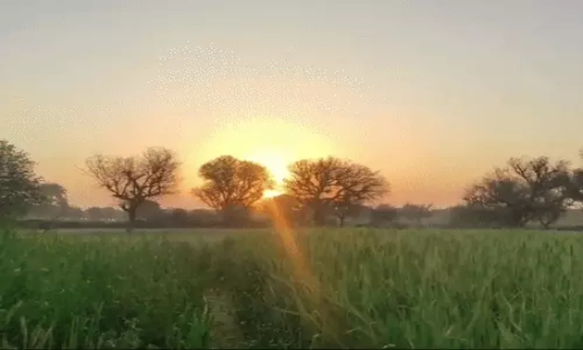 Temperatures will drop in north-central Chhattisgarh over the next 48 hours due to the influence of a Western Disturbance.