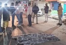 The wheels of a heavy truck ran over the young man's head, scattering his brain matter on the road; the police wrapped the fragments in a cloth and took them away.