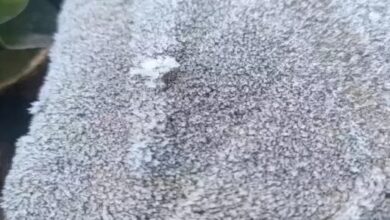 Rain and increasing cold in Chhattisgarh raise the risk of hypothermia in children.