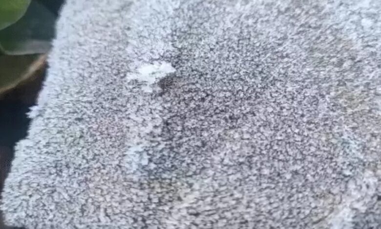 Rain and increasing cold in Chhattisgarh raise the risk of hypothermia in children.