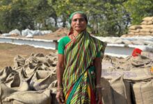 The paddy procurement system has changed the life of female farmer Chauti Bai.