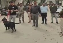 Threats received to bomb four district courts in Chhattisgarh: High alert issued in Surguja, Jagdalpur, Dhamtari, and Rajnandgaon.