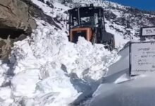 Temperatures drop to -11.2°C in Kashmir: Dense fog in Madhya Pradesh and Rajasthan, 7 killed in accidents; cold wave in Haryana and Punjab.