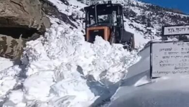 Temperatures drop to -11.2°C in Kashmir: Dense fog in Madhya Pradesh and Rajasthan, 7 killed in accidents; cold wave in Haryana and Punjab.