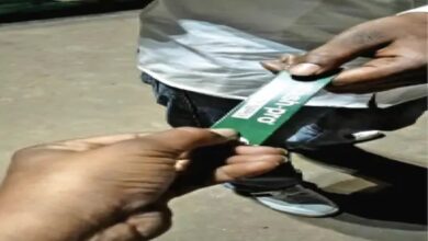 E-commerce is exempt from the Police Commissioner's ban: While the sale of the dry drug 'Gogo' is prohibited in the market, it is available online.