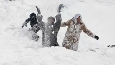 Rain in Rajasthan and Uttar Pradesh, first snowfall of the season in Shimla and Manali.