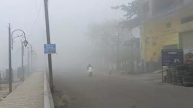 Chhattisgarh shivered in the biting cold.