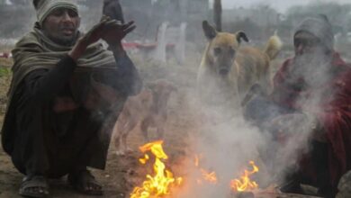 Severe cold wave grips Chhattisgarh, schools closed in Balrampur, cold wave alert issued for the next 3 days.
