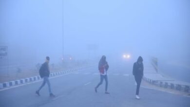Dense fog in 35 cities of Uttar Pradesh, rain in Rajasthan and Haryana, and a cold day alert across Bihar.