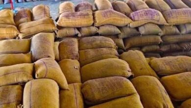 Kharif marketing year 2025-26: Paddy procured from 23.48 lakh farmers, payment of ₹29,597 crore made.