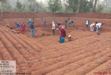 From water conservation to livelihood: The 'Aajeevika Dabri' campaign has become the axis of rural transformation