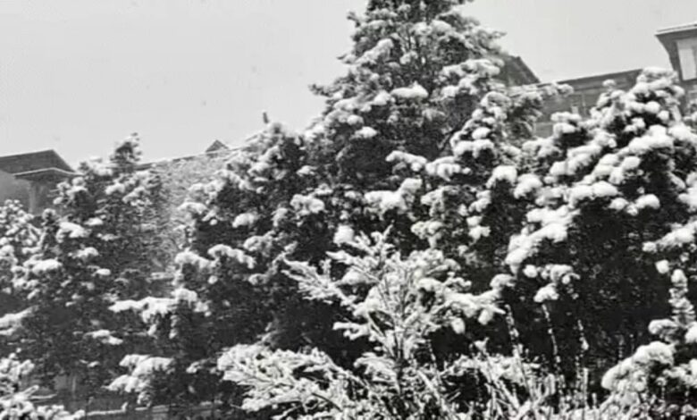 Rain and fog in 8 districts of Madhya Pradesh and 10 districts of Uttar Pradesh led to accidents involving multiple vehicles.