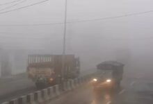 In Rajasthan and Chhattisgarh, temperatures crossed 30°C in the first week of February.