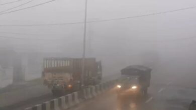 In Rajasthan and Chhattisgarh, temperatures crossed 30°C in the first week of February.